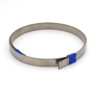resistencia-plana-3-x-030-x-mt